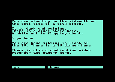 The response to GO HOME describes a television and a video camera