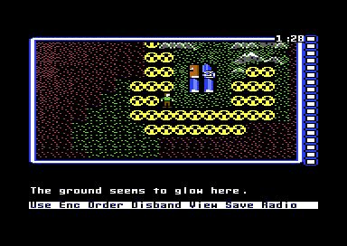 The world map at night, the party on a radiation square: The ground seems to glow here.